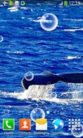 الحوت خلفيات حية - خلفيات حية مجانية تصوير الشاشة 1