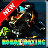Power Real Boxing Robot tips Affiche