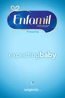 Expecting Baby España Affiche