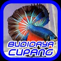 Cara Budidaya Ikan Cupang تصوير الشاشة 3