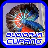 Cara Budidaya Ikan Cupang 截圖 1