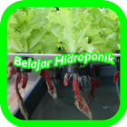 Belajar Hidroponik أيقونة