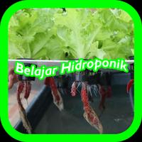 برنامه‌نما Belajar Hidroponik عکس از صفحه