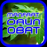 Daun Obat poster