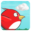APK Birdy