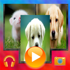 Photo To Video Maker - Music أيقونة