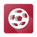 ULMi Lega Calcio APK