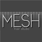 Mesh Hair Studio icône