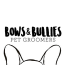 Bows & Bullies APK