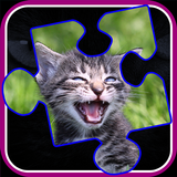 Kitty Cat Jigsaw Puzzles icône