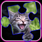 Kitty Cat Jigsaw Puzzles أيقونة