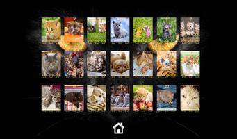 Kitty Cat Jigsaw Puzzles تصوير الشاشة 1