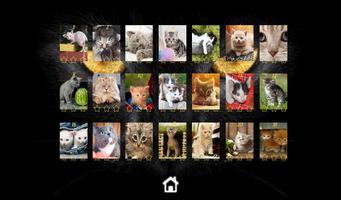 Kitty Cat Jigsaw Puzzles تصوير الشاشة 2