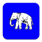Bahujan Samaj Party 아이콘