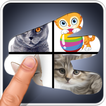 Scratch 4 Pics 1 Word Quiz
