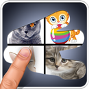 Scratch 4 Pics 1 Word Quiz APK