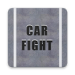 Car Fight