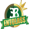 Entclass Blog icon