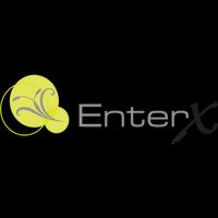 Enter X Affiche