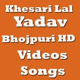 Khesari Lal Yadav Bhojpuri HD Videos Songs icône