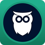 Night Owl icône