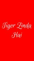 Lyrics  Of Tiger Zinda Hai Movie Cartaz