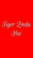 Lyrics  Of Tiger Zinda Hai Movie تصوير الشاشة 1