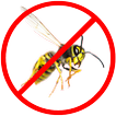Wasp Repellent Prank