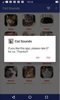Cat Sounds পোস্টার