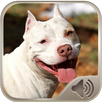 Barking Dog Sounds APK