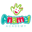 Anamel Academy