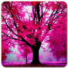 Pink Cool Wallpaper HD icône