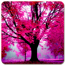 Pink Cool Wallpaper HD APK