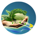 Environmental Science and Engi