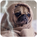 Rain Thunderstorm Music Player APK