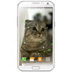 Music Player My Photo Firefly APK