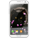 Flower Music Player Wallpaper