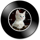 My photo Vinyl Music Player