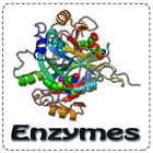 Enzymes ícone