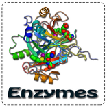 Enzymes