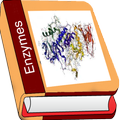 Enzyme