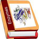 Enzyme APK