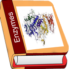 Enzyme icône