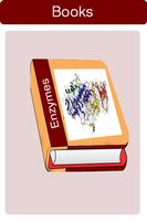 Enzyme Affiche
