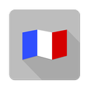 French Verbs APK