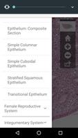 AnatLab Histology Plakat