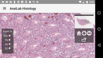 AnatLab Histology 스크린샷 1