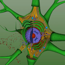 EON 3D Neuron Structure APK