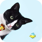 AppLock Theme Cat & Fish Zeichen