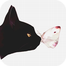 Schmetterling Katze Applock APK